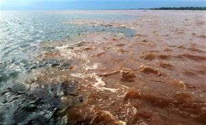 GNF_River Rusizi flows sediment-laden into Lake Tanganyika