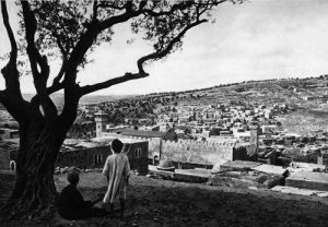 © Lehnert and landrock Photograph Collection