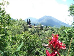 Paysage de Bali ©Hervé Ducruet