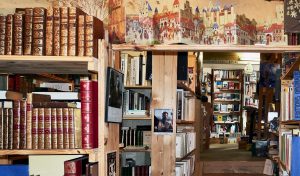 Les étagères des libraires recèlent de trésors entre caves, entresols et greniers, de quoi sy égarer.
