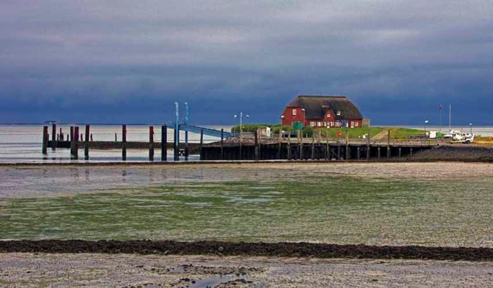 Hallingen, Langeneb island ; harbour